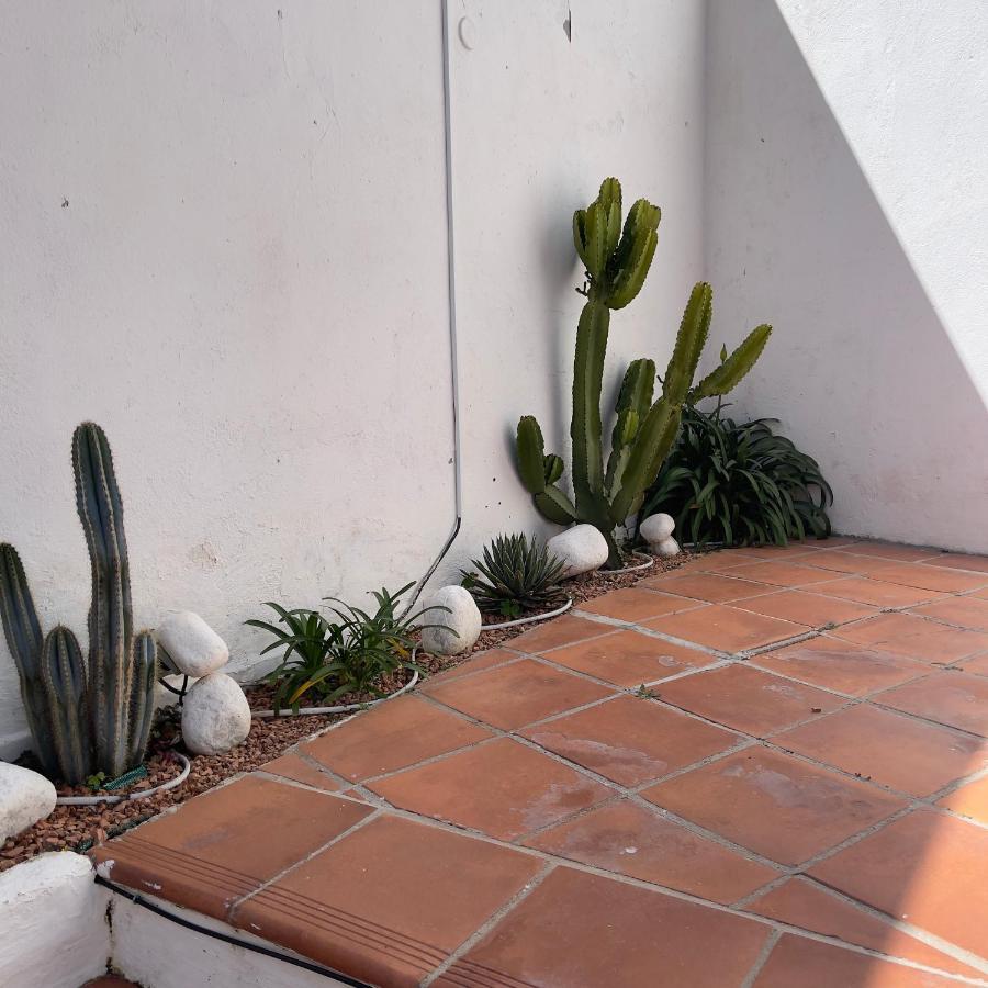 Terra Aloe Ξενοδοχείο Τορρεμολίνος Εξωτερικό φωτογραφία
