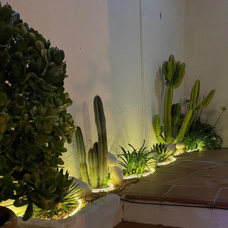 Terra Aloe Ξενοδοχείο Τορρεμολίνος Εξωτερικό φωτογραφία