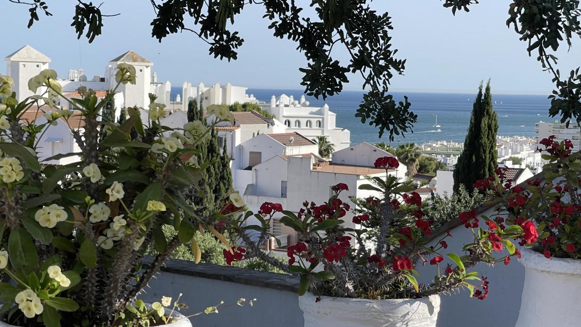 Terra Aloe Ξενοδοχείο Τορρεμολίνος Εξωτερικό φωτογραφία